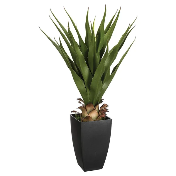 AGAVE POT RECTANGLE H.73CM