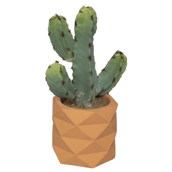 CACTUS POT CERAMIQUE EFFET TERRACOTTA H.24CM