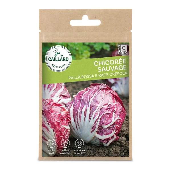 Chicorée Sauvage Palla Rossa 5 Race Cresola 3g CAILLARD