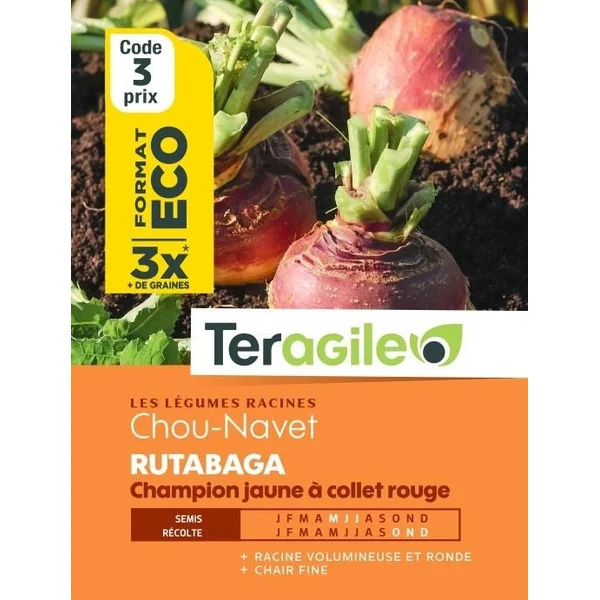 Chou Navet Rutabaga 30g TERAGILE