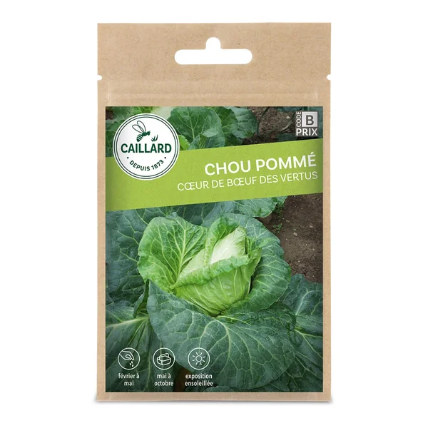 Chou Pommé Cœur de Bœuf des Vertus 3g CAILLARD