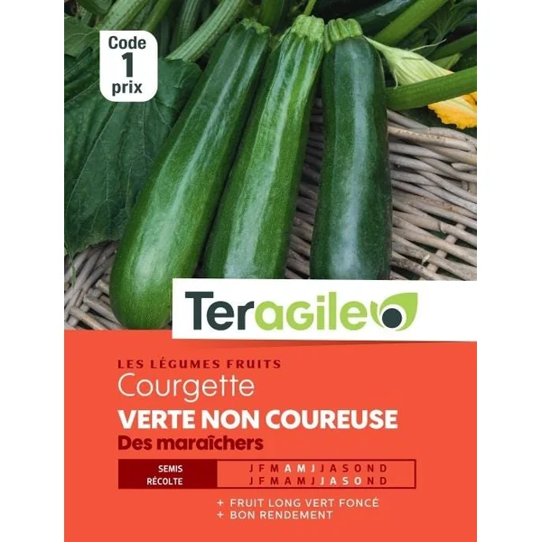 Courgette Verte non Coureuse des Maraîcher 5g TERAGILE