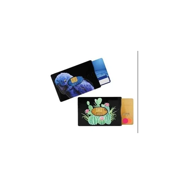 ETUI RIGIDE ANTI-PIRATAGE 1 CB AVEC 10 VISUELS DIFFERENTS