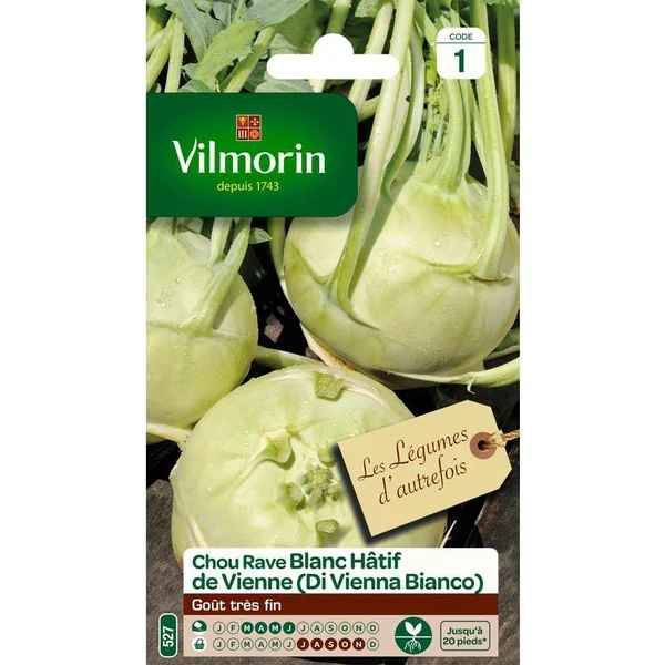 Graines de choux rave blanc hatif de Vienne Vilmorin - graines à semer