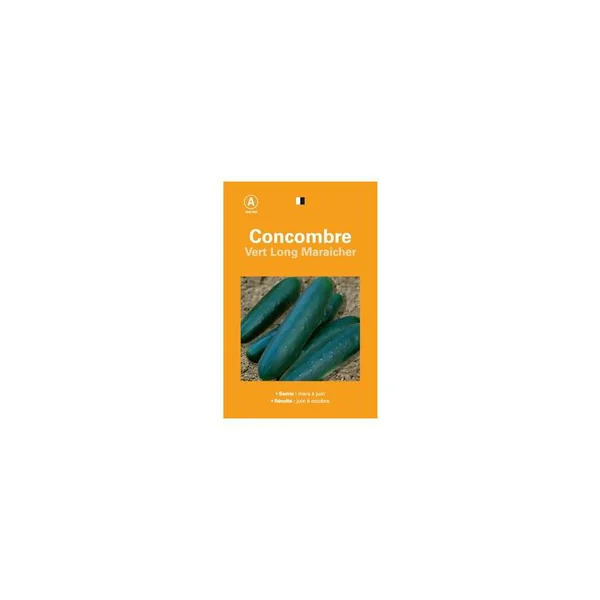 Graines de concombre vert long maraîcher sélection premier prix - graines à semer