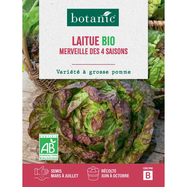 Graines de laitue merveille à 4 saisons bio botanic® - graines à semer