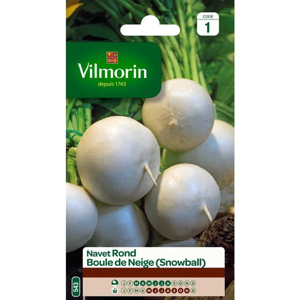 Graines de navet rond boule de neige Vilmorin - graines à semer