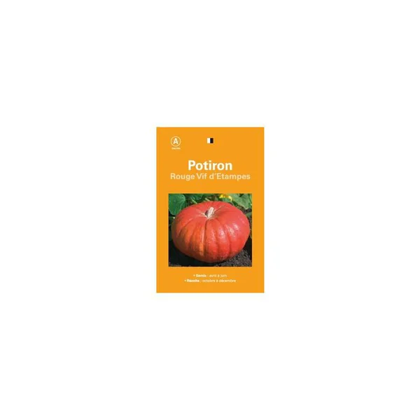 Graines de potiron rouge vif d'étampes sélection premier prix - graines à semer