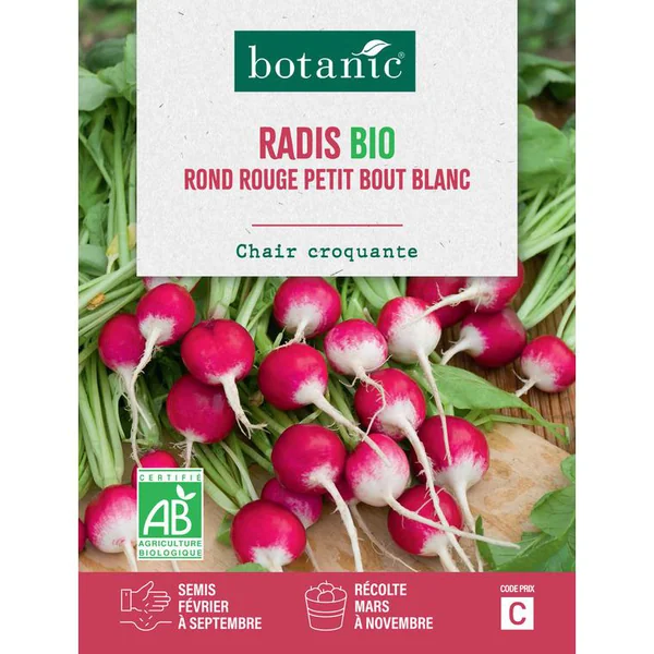 Graines de radis rond rouge à petit bout blanc bio botanic® - graines à semer