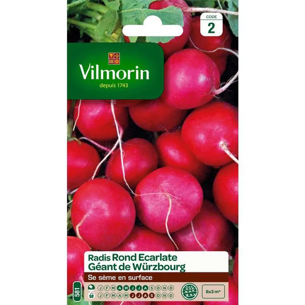Graines de radis rond écarlate géant de Würzbourg Vilmorin - graines à semer