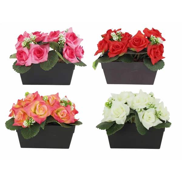 JARDINIERE 14 ROSES ET PETITES SUCCULENTES H.16CM 4 COULEURS