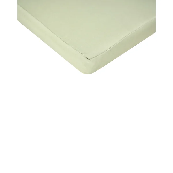 Lot de 2 chaises de jardin avec coussins AMANTEA PREMIUM Acacia Vert