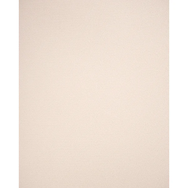 Lot de 2 chaises de salle à manger LILLY Tissu Marron clair/blanc cassé