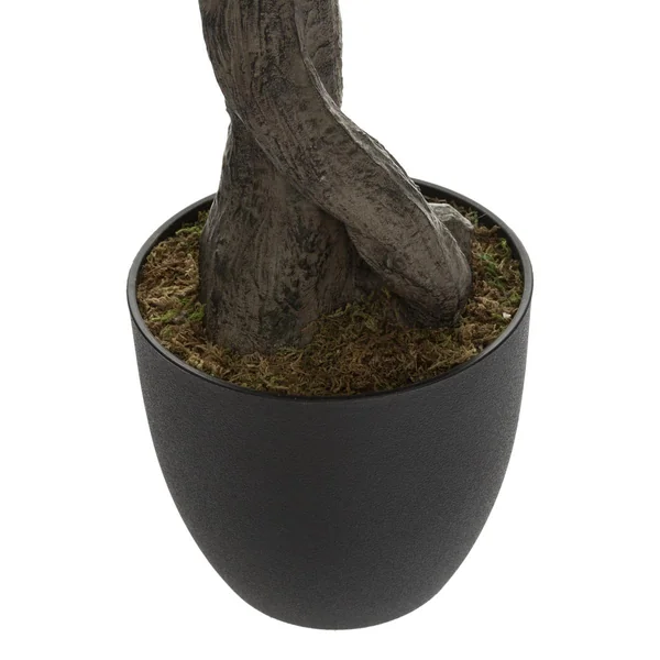 OLIVIER EN POT OLIFU H.140CM