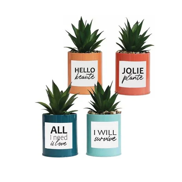 POT MESSAGE METAL COLORE SUCCULENTE H.17CM