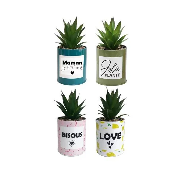 POT MESSAGE METAL COLORE SUCCULENTE H.17CM