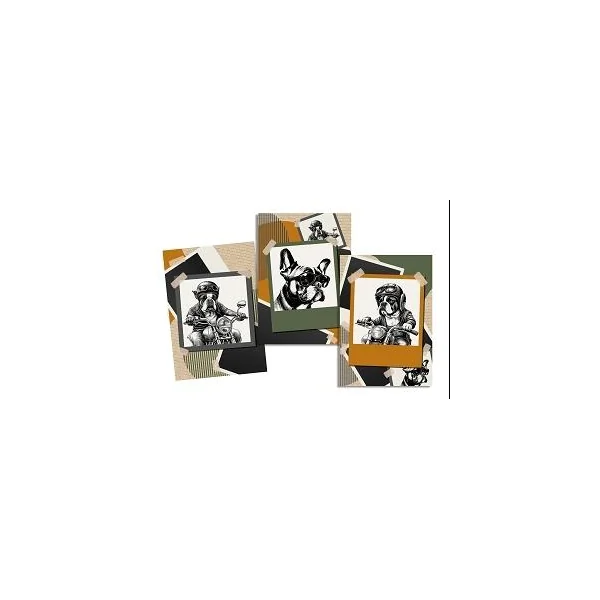 RIDE BOULEDOGUE TORCHON 50X70CM MULTICOLORE