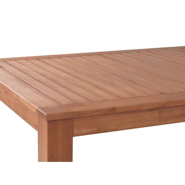 Table de salle à manger de jardin MONSANO 190 cm 105 cm Bois d'eucalyptus Marron