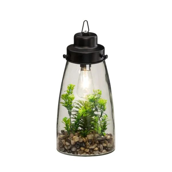 TERRARIUM AMPOULE PLANTE H.31CM