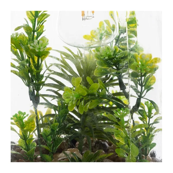 TERRARIUM AMPOULE PLANTE H.31CM
