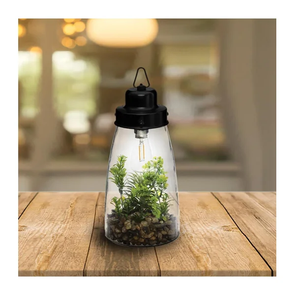 TERRARIUM AMPOULE PLANTE H.31CM